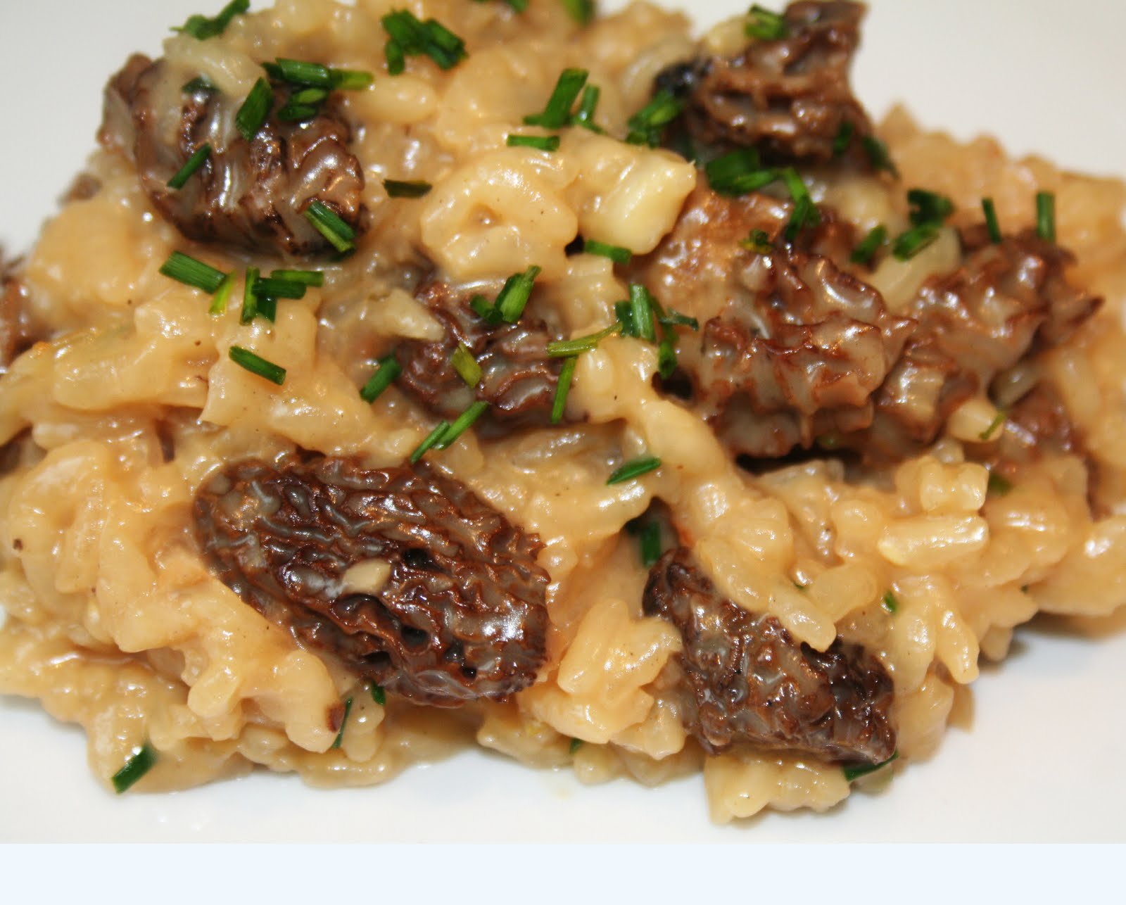 Risotto aux morilles