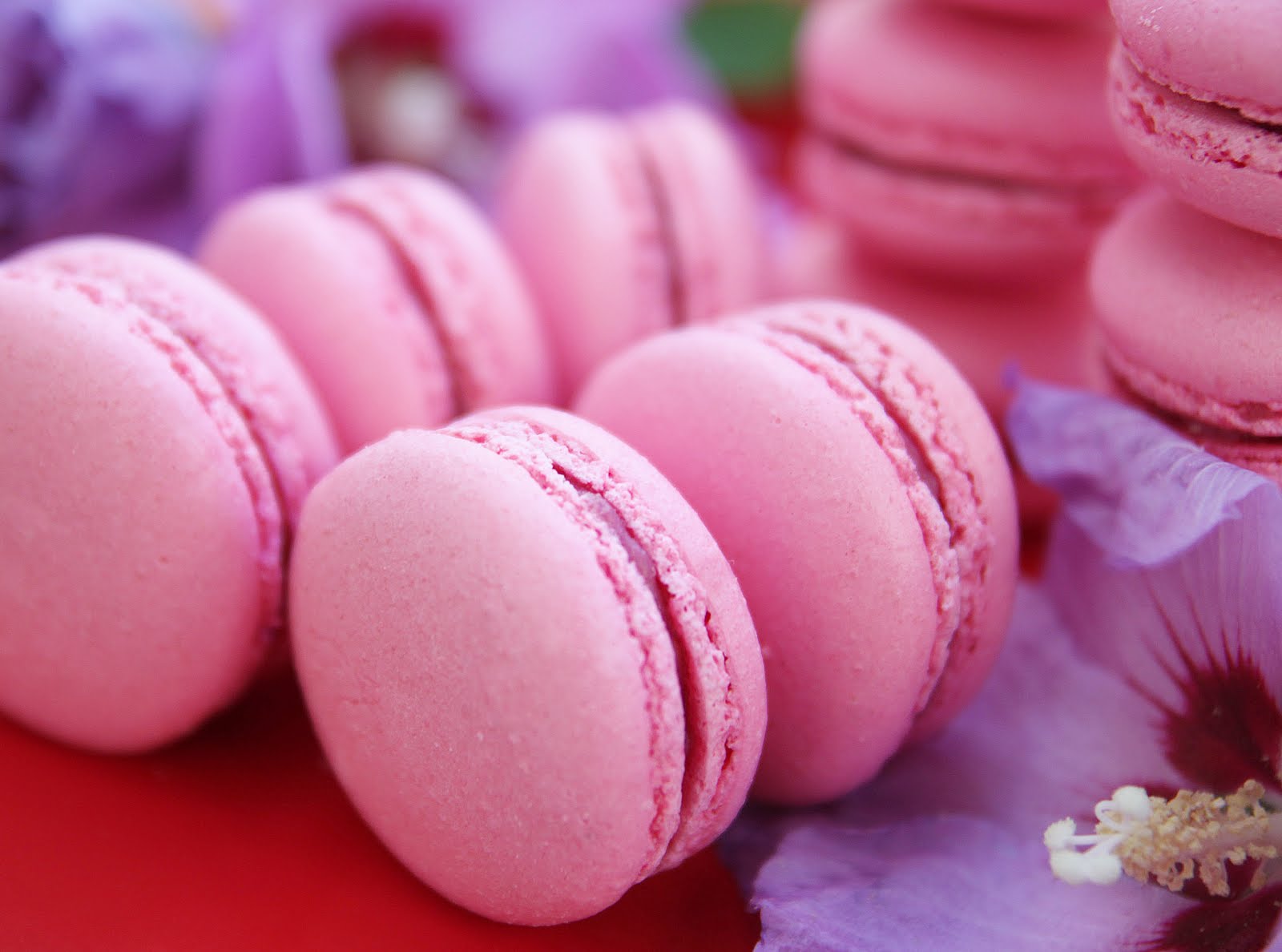 Macarons framboises chocolat blanc