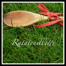 Un blog a decouvrir ratatouillette