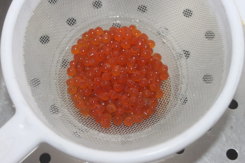 Une passoire à mailles blanches retient un groupe d'œufs de poisson orange au dessus d'un évier.