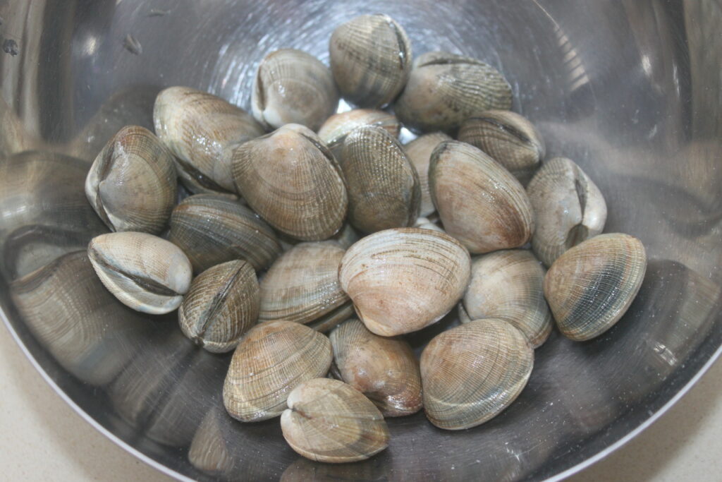 97E5FF06 4E33 448D 9FAD B73D01C8FE84