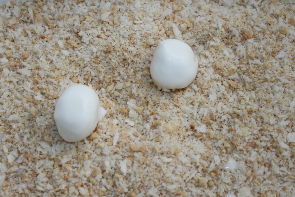 Dos cucharadas pequeñas de salsa blanca, parecidas a delicadas bolas de mozzarella, reposan sobre una superficie cubierta de pan rallado.
