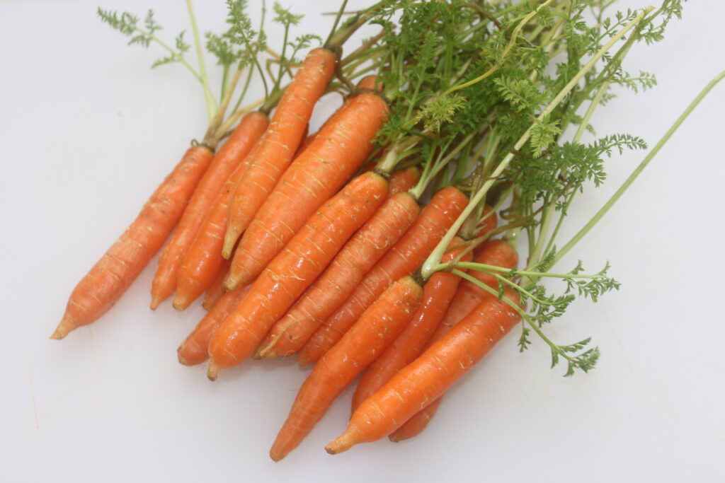 Une grappe de carottes fraîches, oranges et vertes, repose sur une surface blanche, parfaite pour accompagner le chèvre frais.